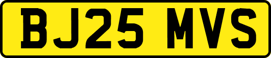 BJ25MVS