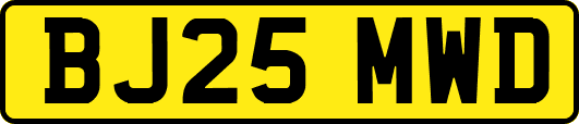 BJ25MWD