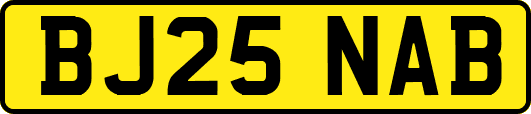 BJ25NAB