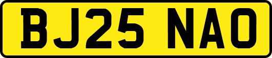 BJ25NAO
