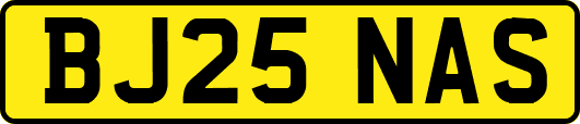 BJ25NAS