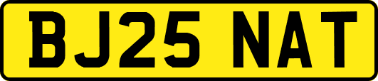 BJ25NAT