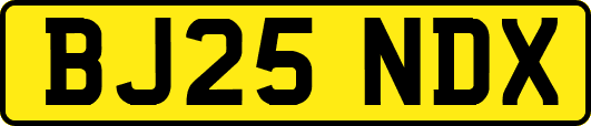 BJ25NDX