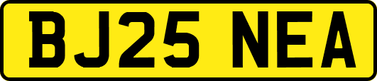 BJ25NEA