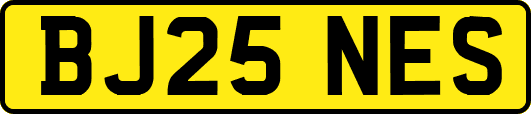 BJ25NES