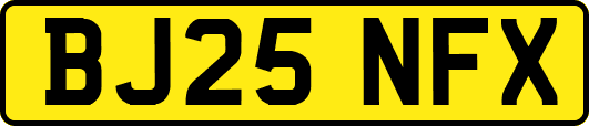 BJ25NFX