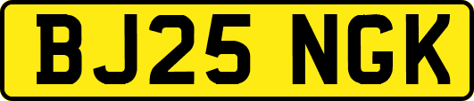 BJ25NGK
