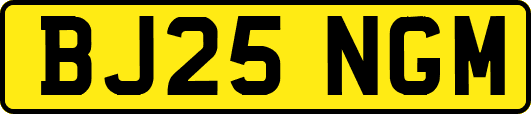 BJ25NGM