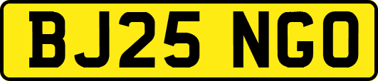 BJ25NGO