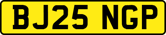 BJ25NGP