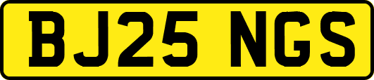 BJ25NGS