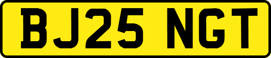 BJ25NGT