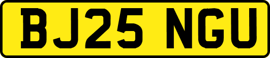 BJ25NGU