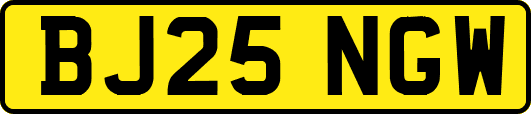 BJ25NGW