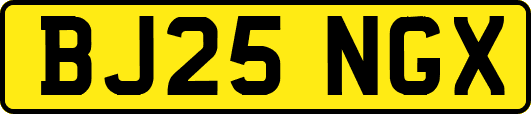 BJ25NGX