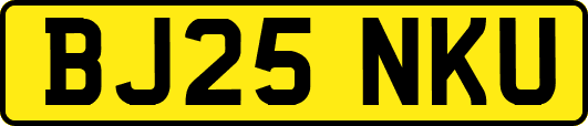 BJ25NKU