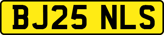 BJ25NLS