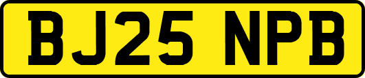 BJ25NPB