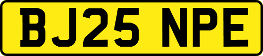 BJ25NPE