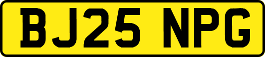 BJ25NPG