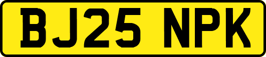 BJ25NPK