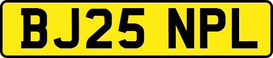 BJ25NPL