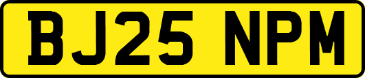 BJ25NPM