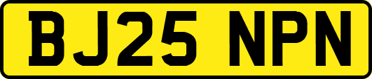 BJ25NPN
