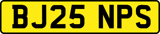BJ25NPS