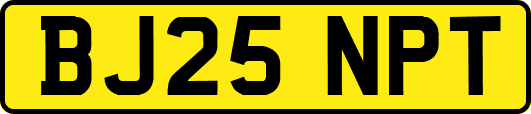 BJ25NPT