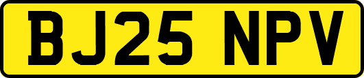 BJ25NPV