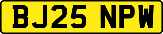 BJ25NPW