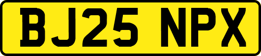 BJ25NPX