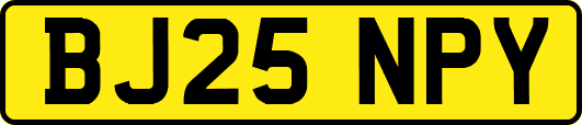 BJ25NPY