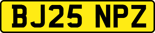 BJ25NPZ