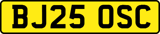 BJ25OSC