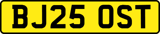BJ25OST