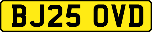 BJ25OVD