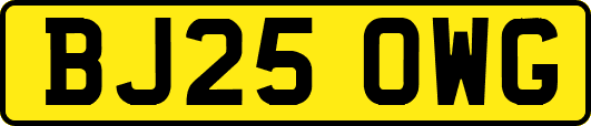 BJ25OWG