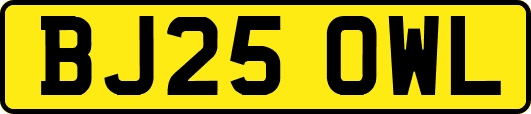 BJ25OWL