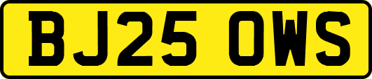 BJ25OWS