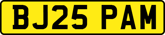 BJ25PAM