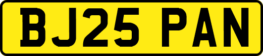 BJ25PAN