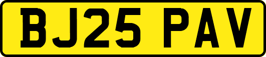 BJ25PAV