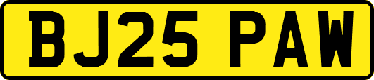 BJ25PAW