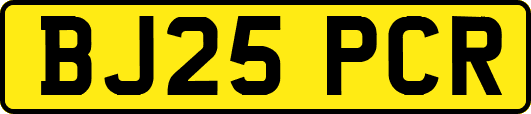 BJ25PCR