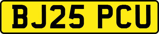 BJ25PCU