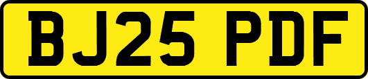 BJ25PDF