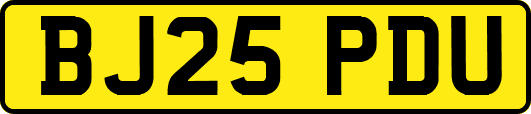 BJ25PDU
