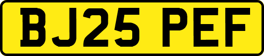 BJ25PEF